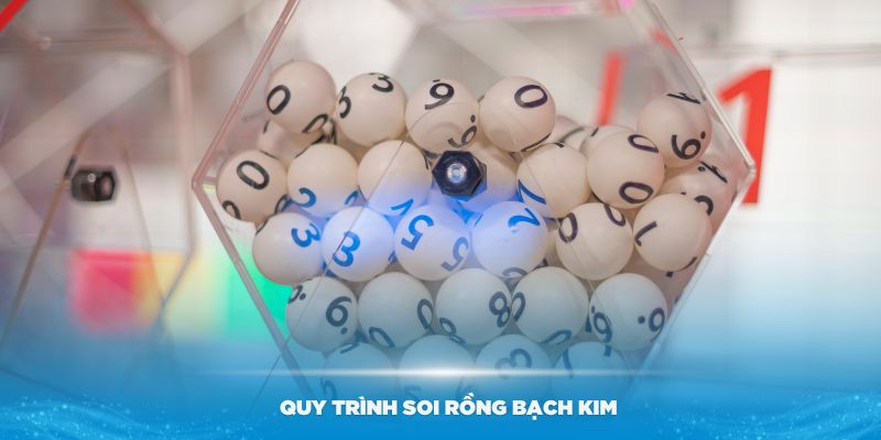 Tìm hiểu về quy trình soi Rồng Bạch Kim hiệu quả nhất